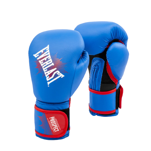 Guante Box Everlast 8 oz